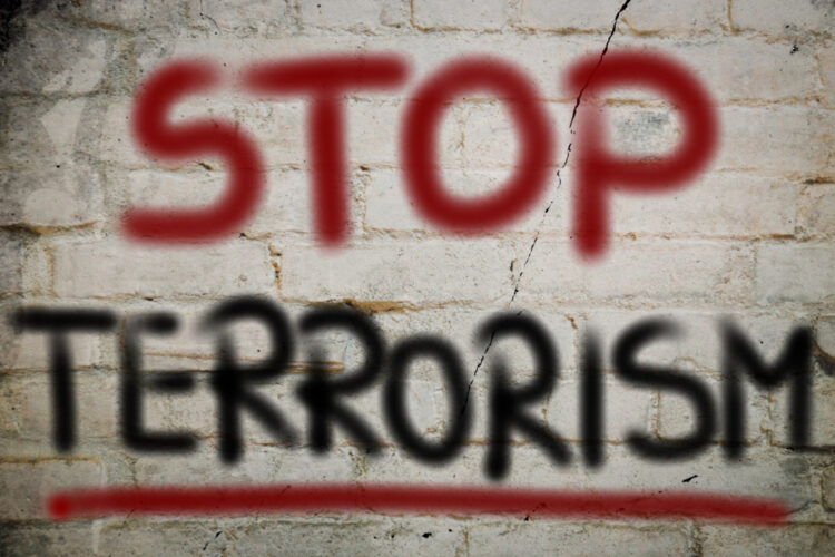 No Terror Concept, In this new environment where terrorist groups can no longer depend on state support ... It is surprising,